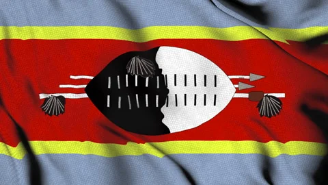 Flag of Eswatini with shield and spears Video stock 314677863