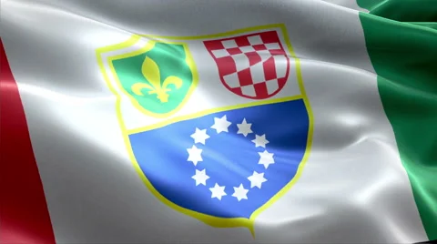 Flag Federation BiH Video stock 47741341