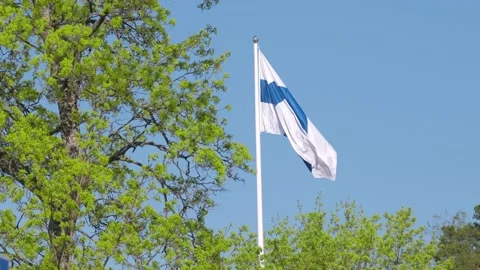 Flag of Finland on the white flagpole Stock Footage 154671786