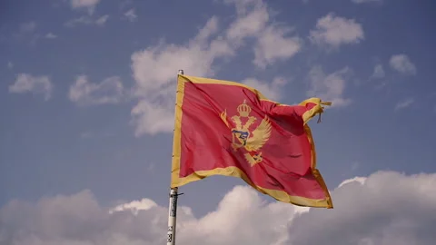 Flag. Flag of the state of Montenegro. Stock Footage 166867362