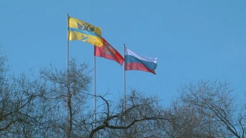 The flag flies in the wind Stock Footage 75016133