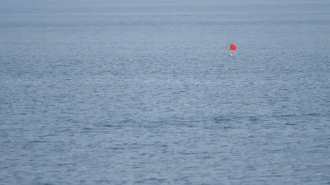 Flag floating on the sea Stock Footage 81050112