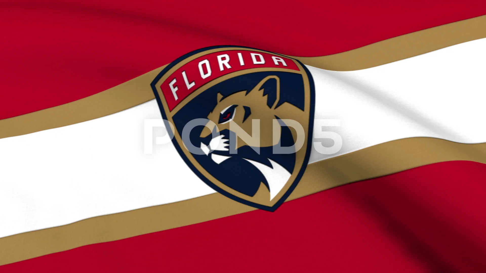  Florida Panthers New Logo Flag and Banner : Sports & Outdoors