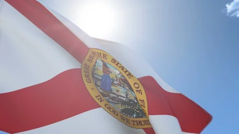 Flag of Florida Waving in the Wind Stock Footage 91947093