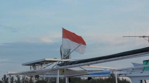 Flag fluttering Stock Footage 272196800