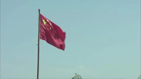 The flag flutters in the wind Stock Footage 252481914