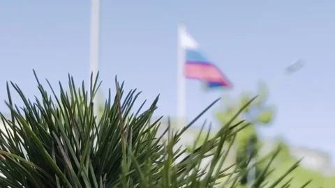 A flag is flying in the background of a field of grass Video stock 283488681
