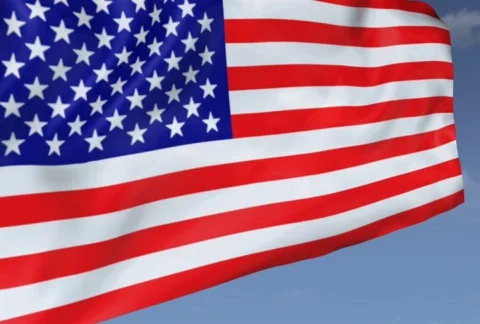 Flag 動画素材 678843