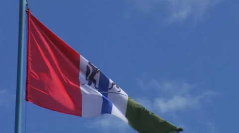 Flag Vídeo Stock 7730729