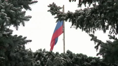 Flag Stock Footage 12658277