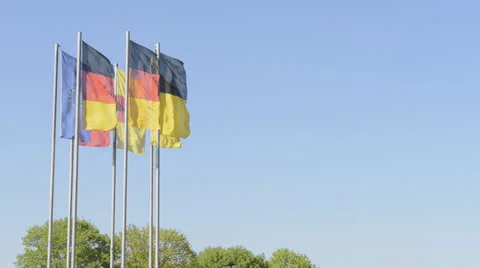 Flag Stock Footage 22877333