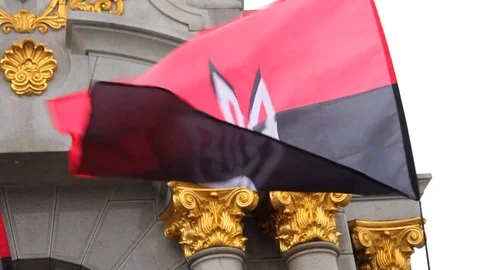 Flag Stock Footage 71772852