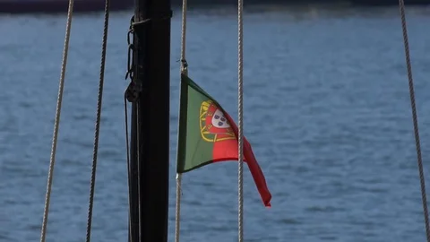 Flag Video stock 128721593