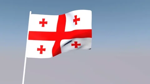 Flag Stock Footage 150500613