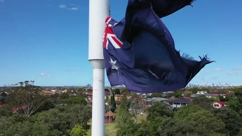 Flag Stock Footage 221366687