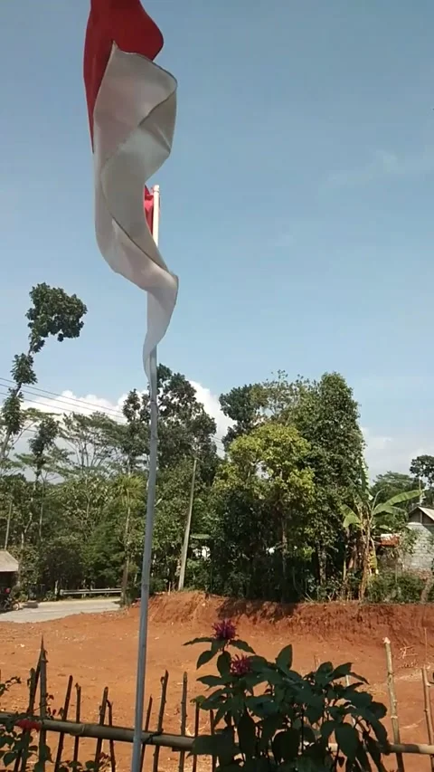 Flag Video stock 222440873