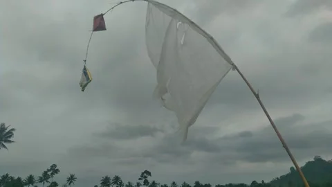 Flag Stock Footage 258114311