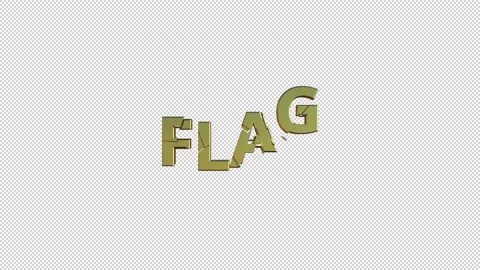 FLAG Stock Footage 307981407