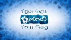 Flag Form Project Stock After Effects