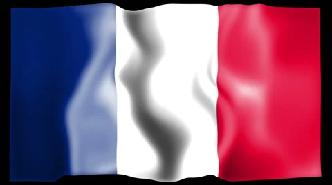 Flag of France Stock Footage 46442880