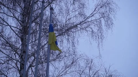 A flag in front of a tree Stock Footage 130505328