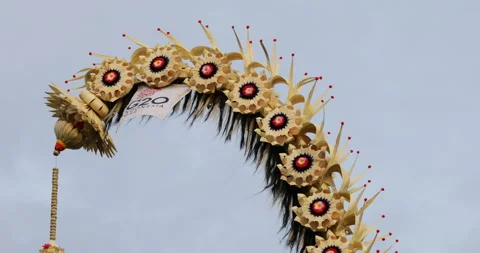 Flag with the G20 summit logo flutters in the wind with traditional decorations Stock Footage 220903891