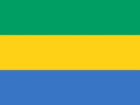 Flag of Gabon Vector illustration Stock Illustration