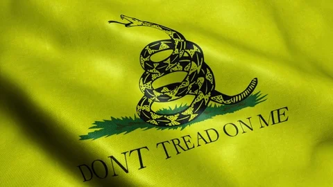 Dont Tread On Me Flag Wallpaper
