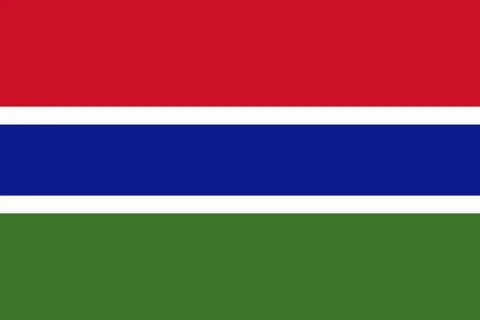 Flag of gambia Stock Illustration