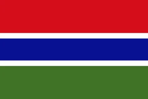 Flag of The Gambia Stock Illustration
