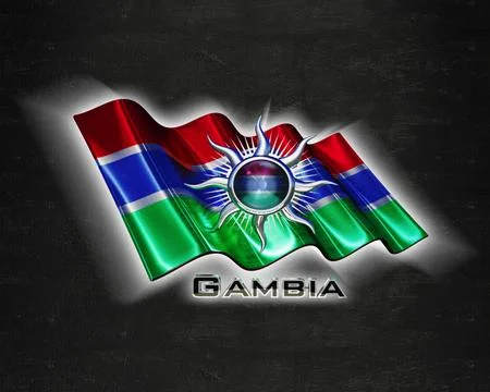 Flag Gambia quality designer flag Stock Illustration