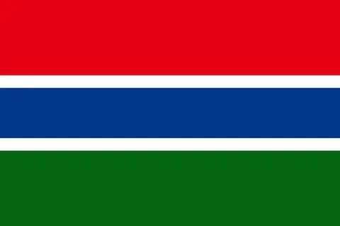 Flag of gambia vector illustration Stock Illustration