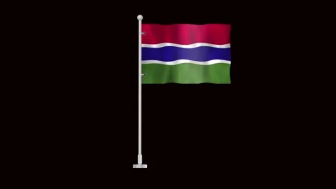 Flag of Gambia waving Video stock 320303408
