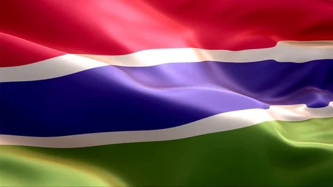 Flag of Gambia waving in the wind. Stock Footage 129246731
