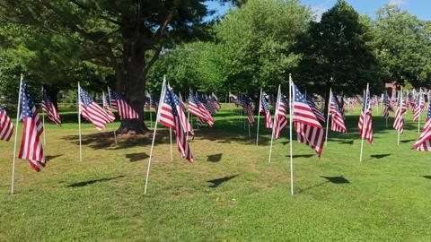 Flag Garden Set Up For Memorial Day To Honor Fallen Service Members In Stock Footage 338431707