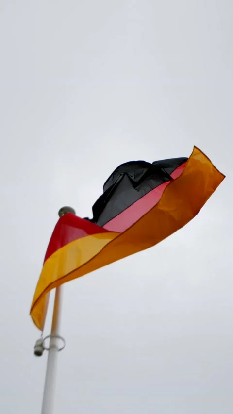 Flag of Germany blowing in wind 動画素材 239014200