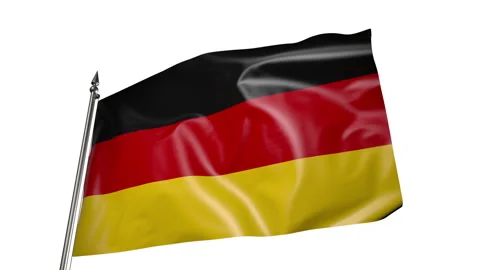 Flag of Germany on a flagpole. Animation 3D on a white background 動画素材 219747830