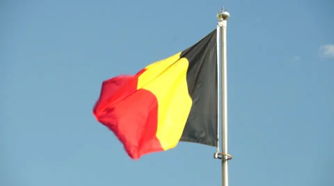 Flag of Germany Video stock 24923690