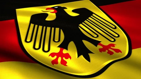 Flag of Germany logo waving on silk Stock Footage 95821297