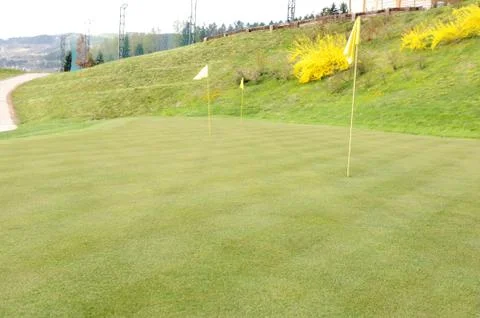 Flag on golf field Foto stock