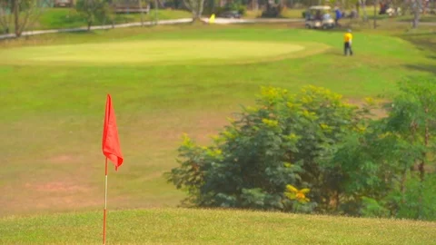 Flag golf in golf course, beautiful fair way and layout Видео 121010286