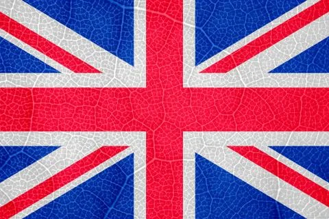 Flag of great Britain on the structure of a tree leaf macro Foto stock