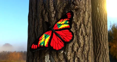 Flag of Grenada on Butterfly Wings Realistic 4K UHD 60FPS Stock Footage 148500645