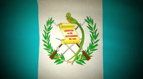 Flag Guatemala 04 Stock Footage 28440871