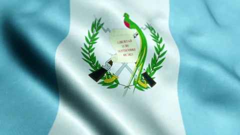 Flag of Guatemala - Seamless Looping Stock Footage 221451907