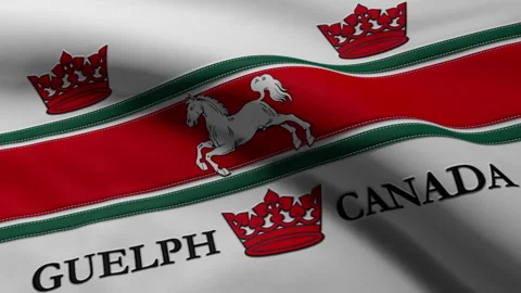 Flag of Guelph City Loop Stock Footage 241226290