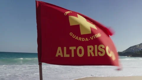 Flag to guide bathers. Rio de Janeiro, Brazil - August 28, 2024 Stock Footage 303904808