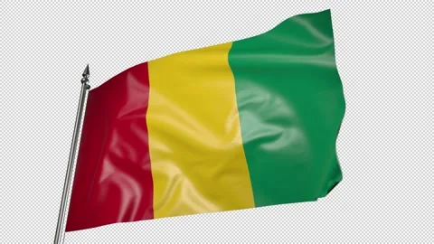 Flag of Guinea on a flagpole. 3D animation with alpha channel Stock-Footage 206070558