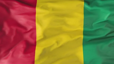 Flag of Guinea Flutters in the Wind. Animation 3d Stock-Footage 202050159