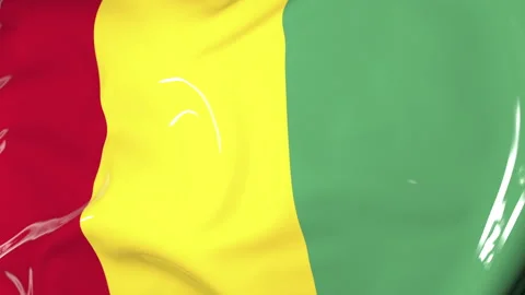 Flag of Guinea Flutters in the Wind. Animation 3d 库存影片 205953103